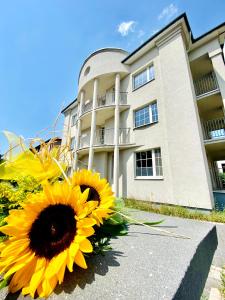 The New Silesia House квартира в оренду apartamenty na wynajem
