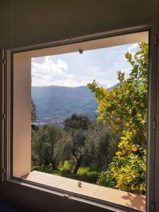 Maisons de vacances Bas de villa. Cote d'Azur, a 20 kms de Nice : photos des chambres