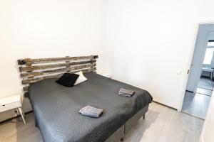 SleepWell House Pyhätunturi with Sauna close to lake