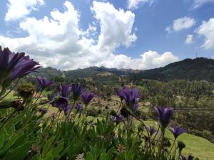 Restaurante y Hostal: De La Villa Pa Sumercé