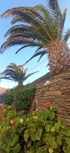 MILTIADIS APARTMENTS