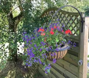 Kennick Barn, peace and quiet guaranteed, Dartmoor - 查格福德