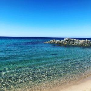 Cara Catherine img19