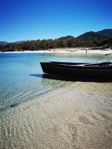 Cara Catherine img22