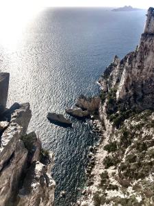 Appartements Azur Cassis : Appartement - Vue sur Jardin