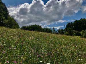 Chalets Gite Le Mazot de Vouan : photos des chambres