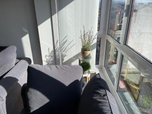 OKTHEWAY Castelao Street