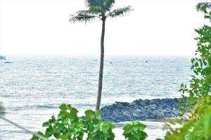 The Well Beach side guest house