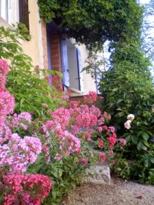 Maisons de vacances Les Valerianes : photos des chambres