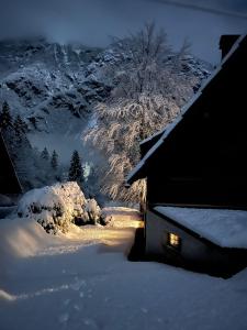 Red Beech Cabin - Lake Bohinj & Triglav National Park retreat 