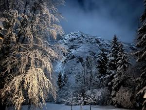 Red Beech Cabin - Lake Bohinj & Triglav National Park retreat