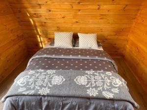 Starlight Camping Pods