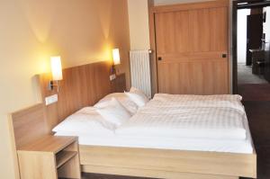 Double Room room in Hotel Fortuna