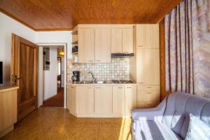 Residence Pichler Apartment 1