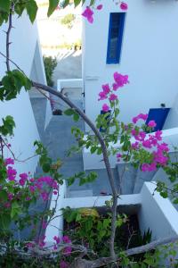 Ploimon Apartments Lasithi Greece