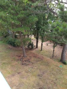 Appartements APPARTEMENT AU CALME AVEC PISCINE ET PARKING dans residence securisee : photos des chambres