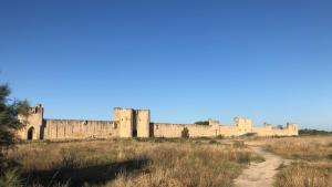 Maisons de vacances AirKat Saint Louis : photos des chambres