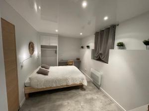 Appartements Casa Jaubertie - Appartement cosy et chaleureux refait a neuf - HYPER CENTRE BRIVE : photos des chambres