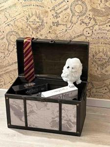 Appartements Harry Potter Studio a Blois : photos des chambres