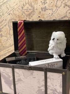 Appartements Harry Potter Studio a Blois : photos des chambres