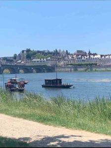 Appartements Harry Potter Studio a Blois : photos des chambres