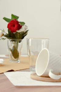 Suncokret Apartmani Loznica