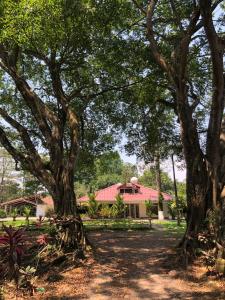 Finca La Dacha