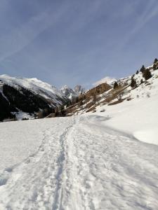 Chalets Spacieux Chalet : photos des chambres