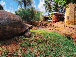 Goodnight Guest Lodge