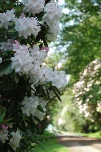 Maison charmante à Jugon-les-Lacs avec jardin