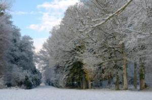 Maison charmante à Jugon-les-Lacs avec jardin