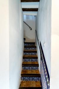 Casa Ispal Alfalfa