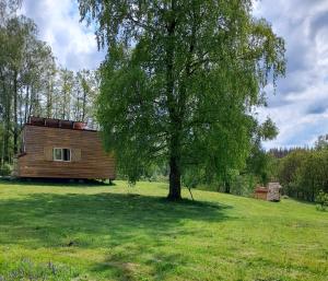 Campings Tiny des Reves : photos des chambres