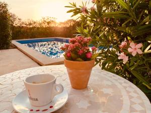 CASA Luz Solar - schöne Finca in Strandnähe, Privatpool, Klimaanlage, Wifi