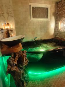 Le Néflier Dijon - appart balnéo - SPA romantique pour 2