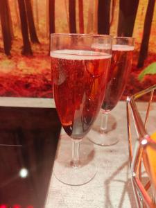 Le Néflier Dijon - appart balnéo - SPA romantique pour 2