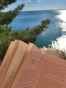 Apartment with sea view - Poljak