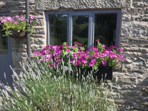 Lee house farm holiday cottage with possible use of hot tub ninety pounds a session