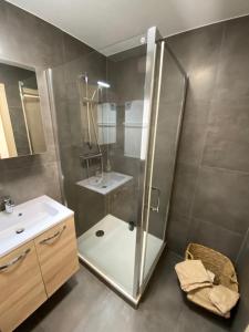 Appartements Charmant studio a Haguenau, a 25mn de Strasbourg : photos des chambres