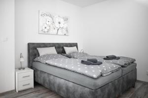 Apartmán Imperial Dolní Morava