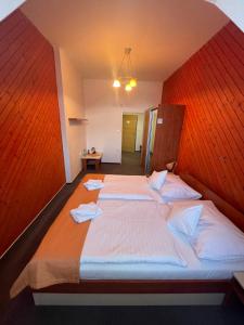 Double or Twin Room room in Hotel Skicentrum
