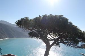 Deluxe King Room room in Corniglia Dreams