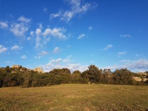 Aldo Countryside img11