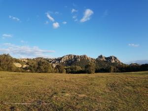 Aldo Countryside img14