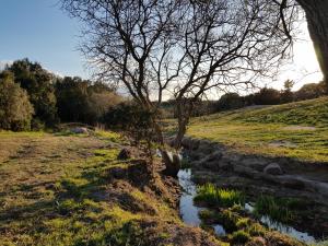 Aldo Countryside img17