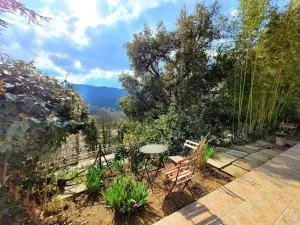 Le Nid de Darshan 2 personnes - 科洛布里埃