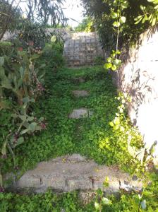 Appartamento con giardino Torre dei Corsari