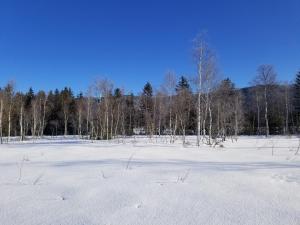 Zirbenstüberl - Chiemgau Karte