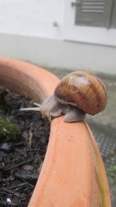 Apartment da Gabriela