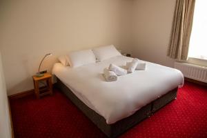 The Knighton Apartment